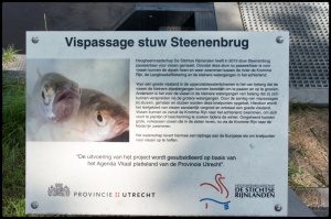 Vispassage_Steenenbrug2